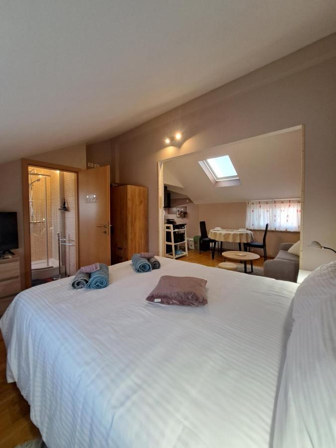Apartamento Casa Antonio With Swimming Pool Novigrad Istria Exterior foto
