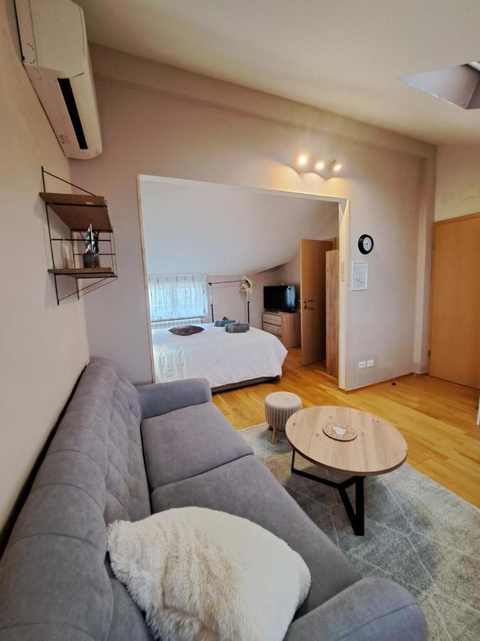 Apartamento Casa Antonio With Swimming Pool Novigrad Istria Exterior foto